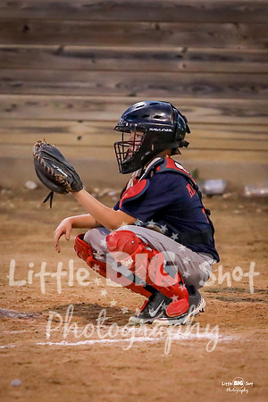 RedBirds-100