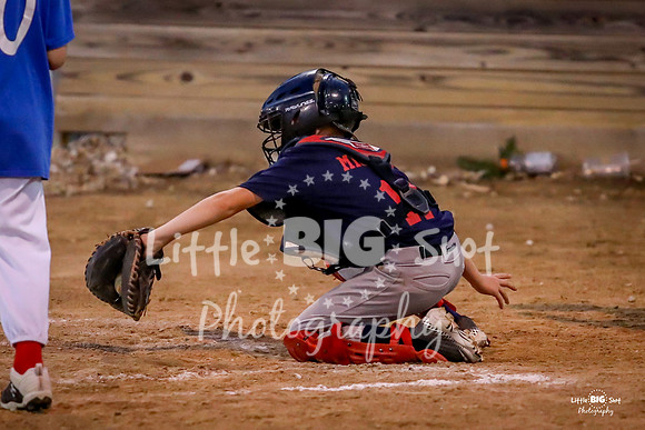 RedBirds-101