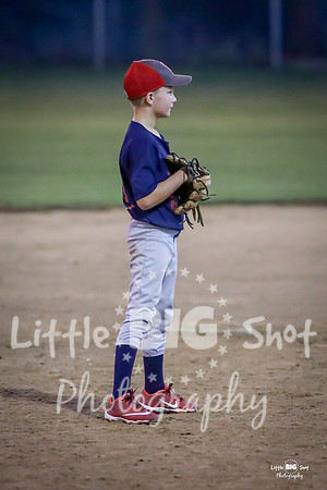 RedBirds-102