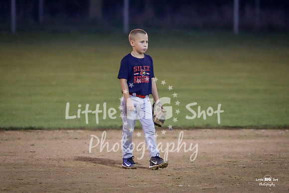 RedBirds-103