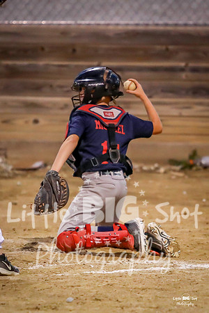 RedBirds-104