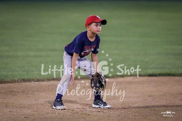 RedBirds-106