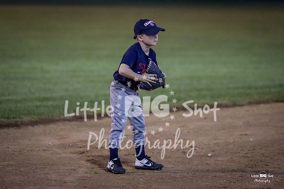 RedBirds-107