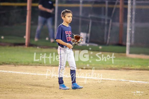 RedBirds-108