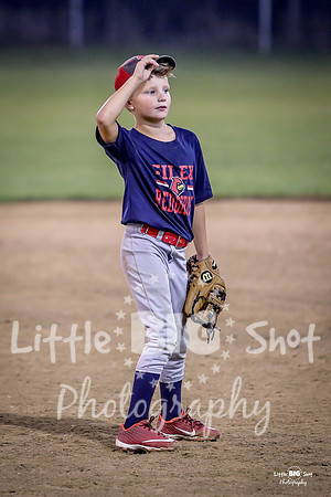 RedBirds-111