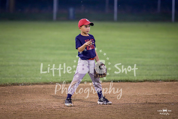 RedBirds-110