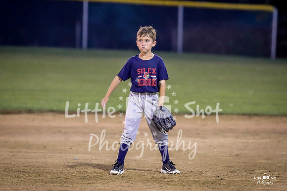 RedBirds-112