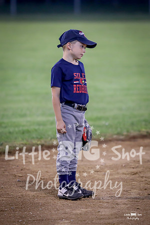 RedBirds-109
