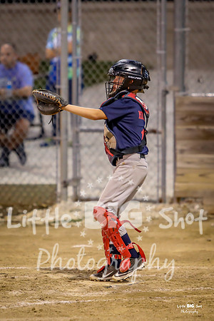 RedBirds-113