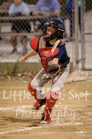 RedBirds-114