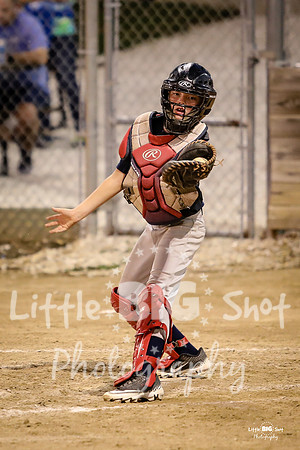 RedBirds-115