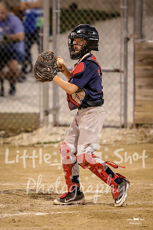 RedBirds-116