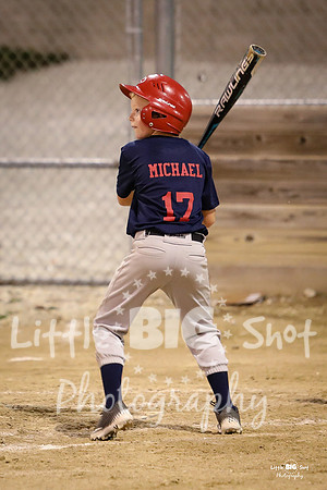 RedBirds-119