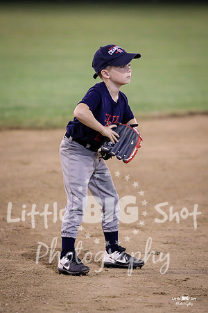 RedBirds-118