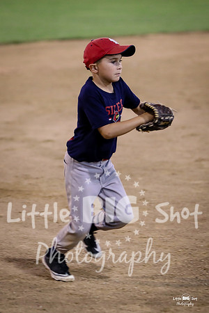 RedBirds-117