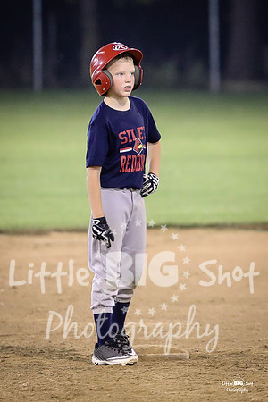 RedBirds-121