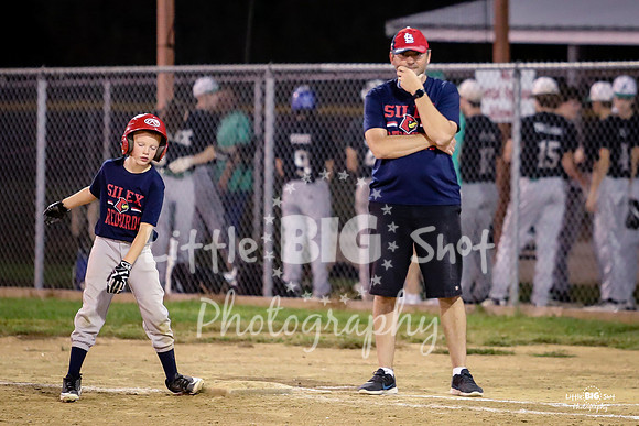 RedBirds-120