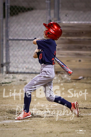 RedBirds-123