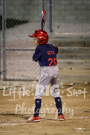 RedBirds-122