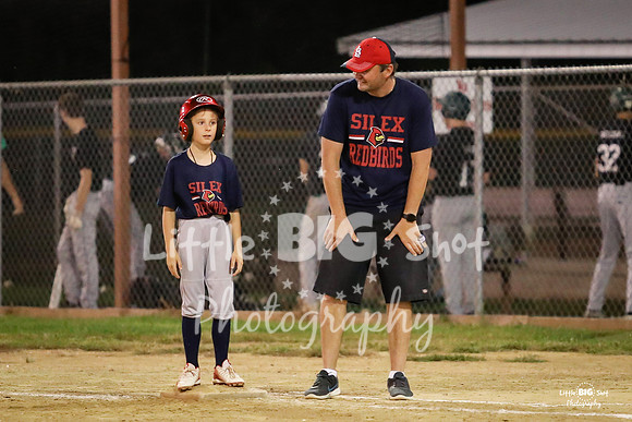 RedBirds-128