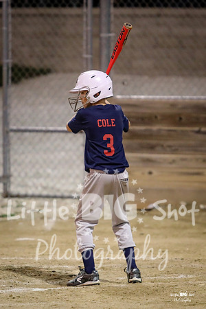 RedBirds-129
