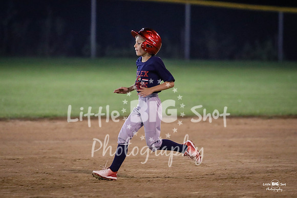 RedBirds-130