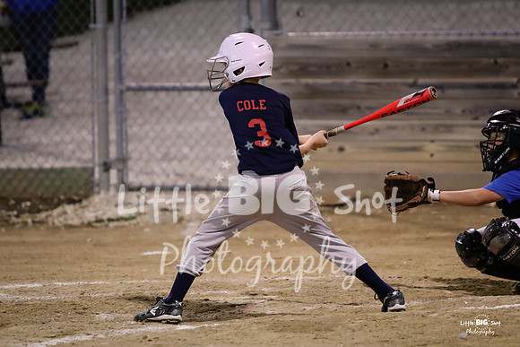 RedBirds-132