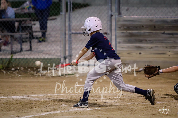 RedBirds-133
