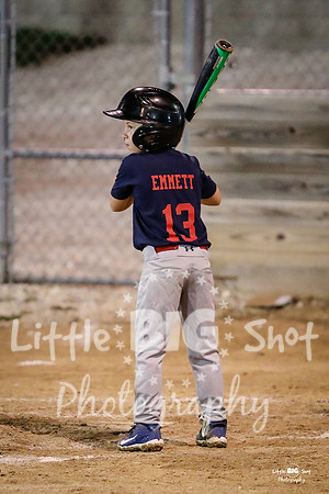 RedBirds-135