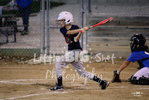 RedBirds-134