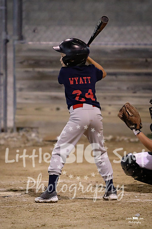 RedBirds-136