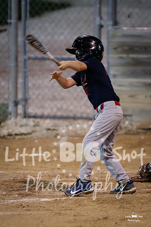 RedBirds-137