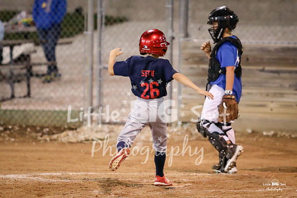 RedBirds-140
