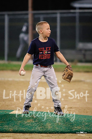 RedBirds-141