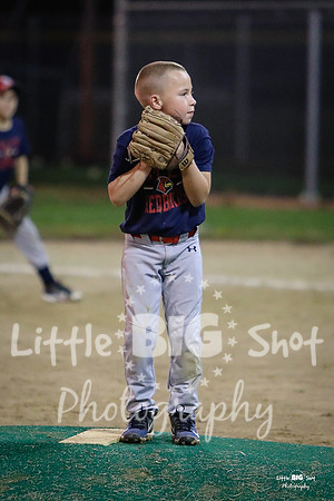 RedBirds-142