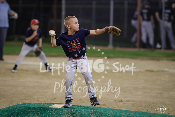 RedBirds-143