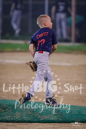 RedBirds-146