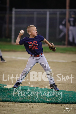 RedBirds-144