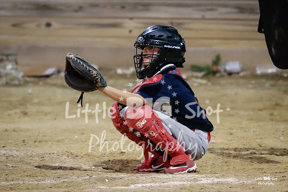 RedBirds-147