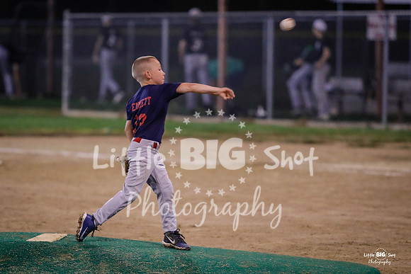 RedBirds-145