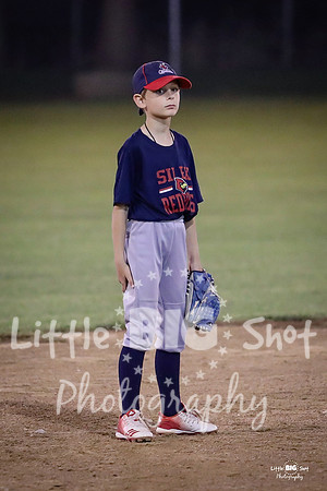 RedBirds-149