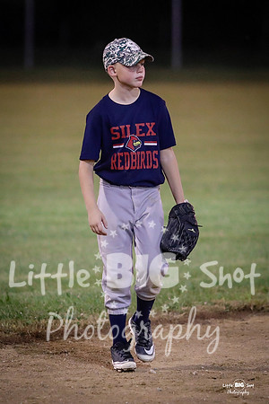 RedBirds-150