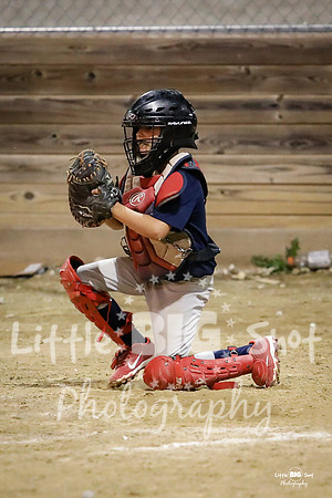 RedBirds-155