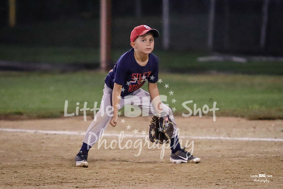 RedBirds-156