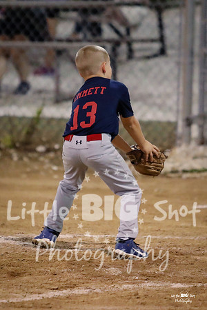 RedBirds-157