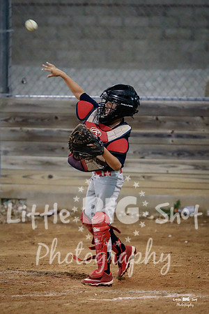 RedBirds-159