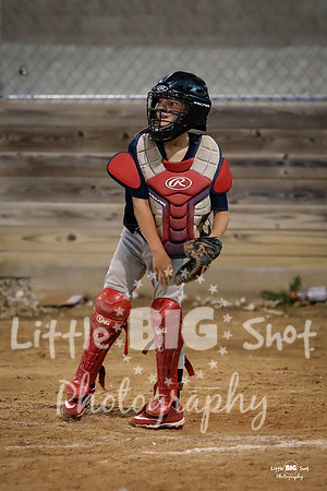 RedBirds-160