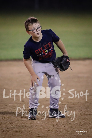 RedBirds-162