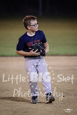 RedBirds-163