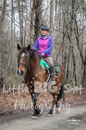 TNP-AppleRd-19
